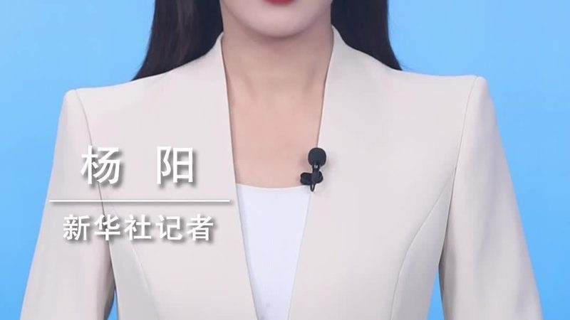 数据安全认证标准等级：解码企业数据安全的“安全锁